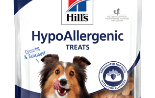tildele Forskudssalg cirkulære Allergi hos hund | VetPlanet